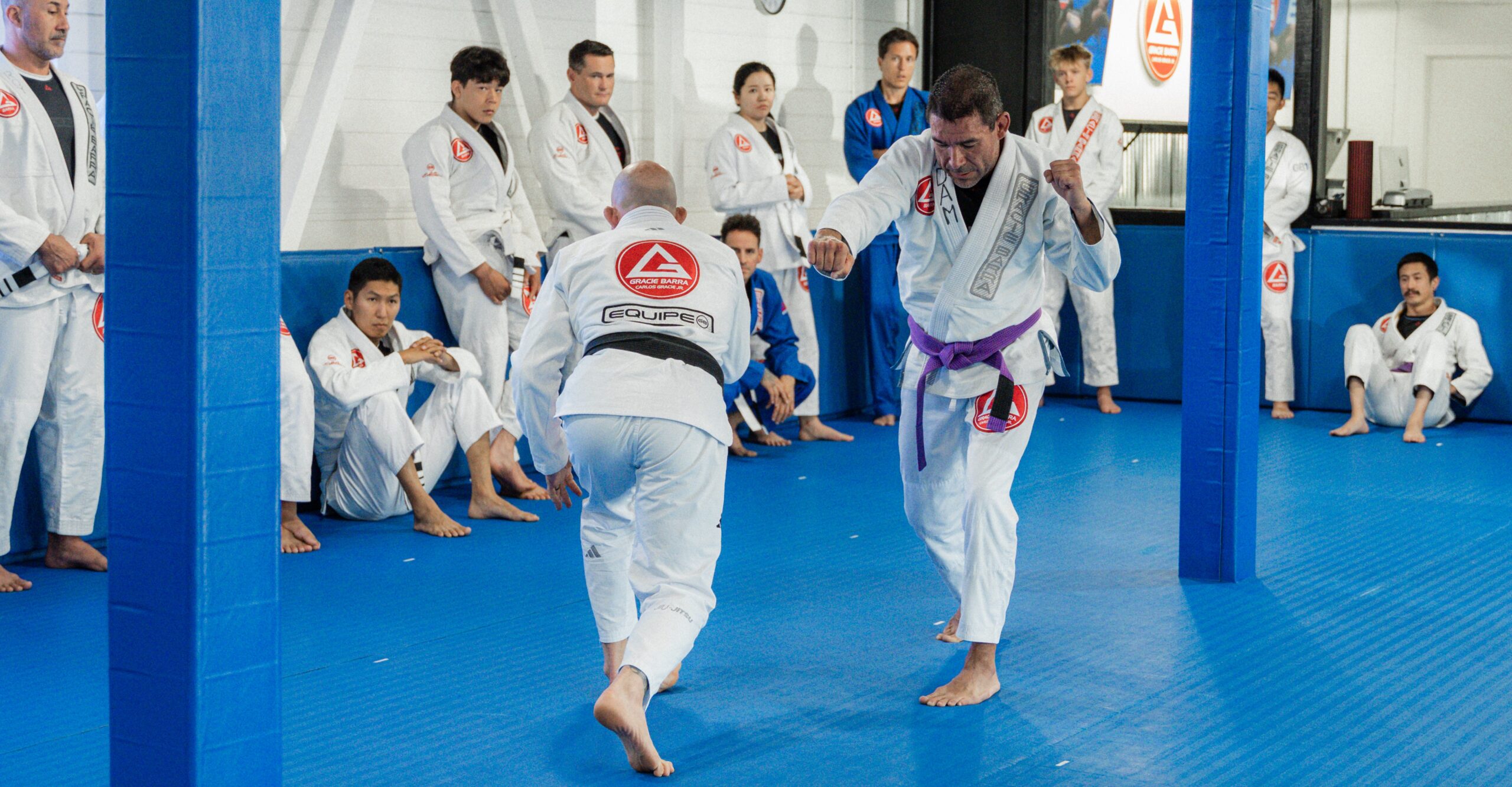 BJJ Classes Near Me
